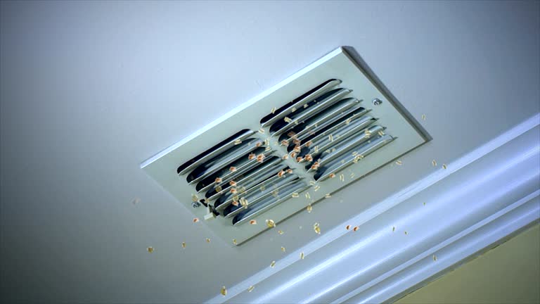 HVAC System Cleaning in MO