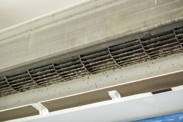 Best Air Duct Cleaning Near Me  in St Robert, MO